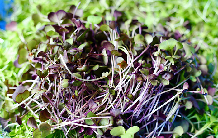 Free Bootstrap Template by uicookies.com