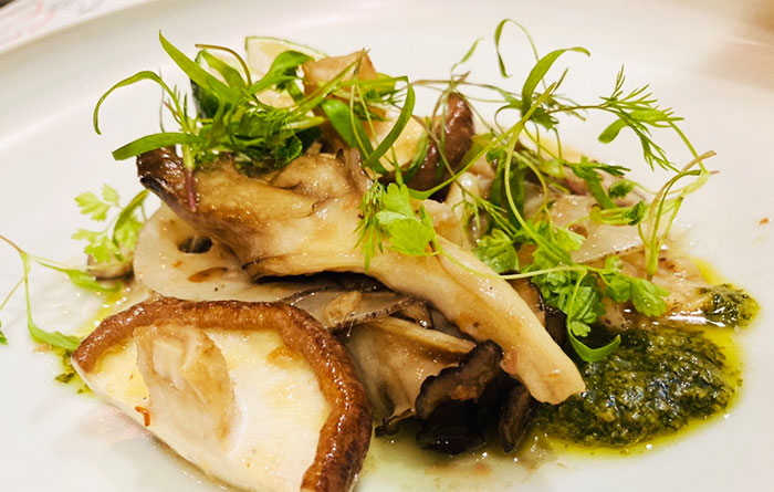 Free Bootstrap Template by uicookies.com